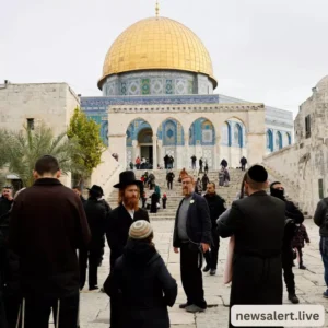 Digital Warfare: How the Visit Went Viral